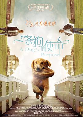 超清在线观看