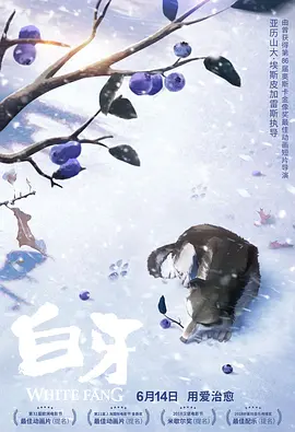 完结完整版观看
