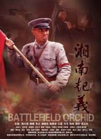 1080P手机在线看