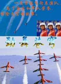 BD高清免费观看