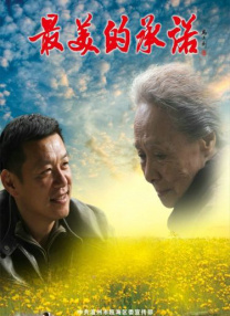 1080HD手机在线观看